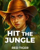Rainbet Spiel